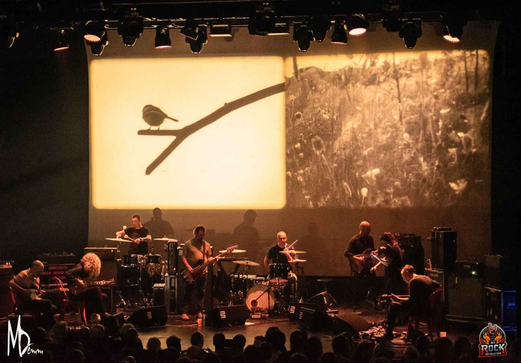 Godspeed You ! Black Emperor - 5
