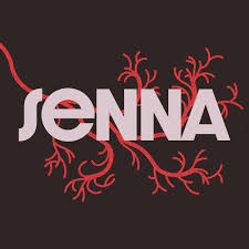 Logo Senna
