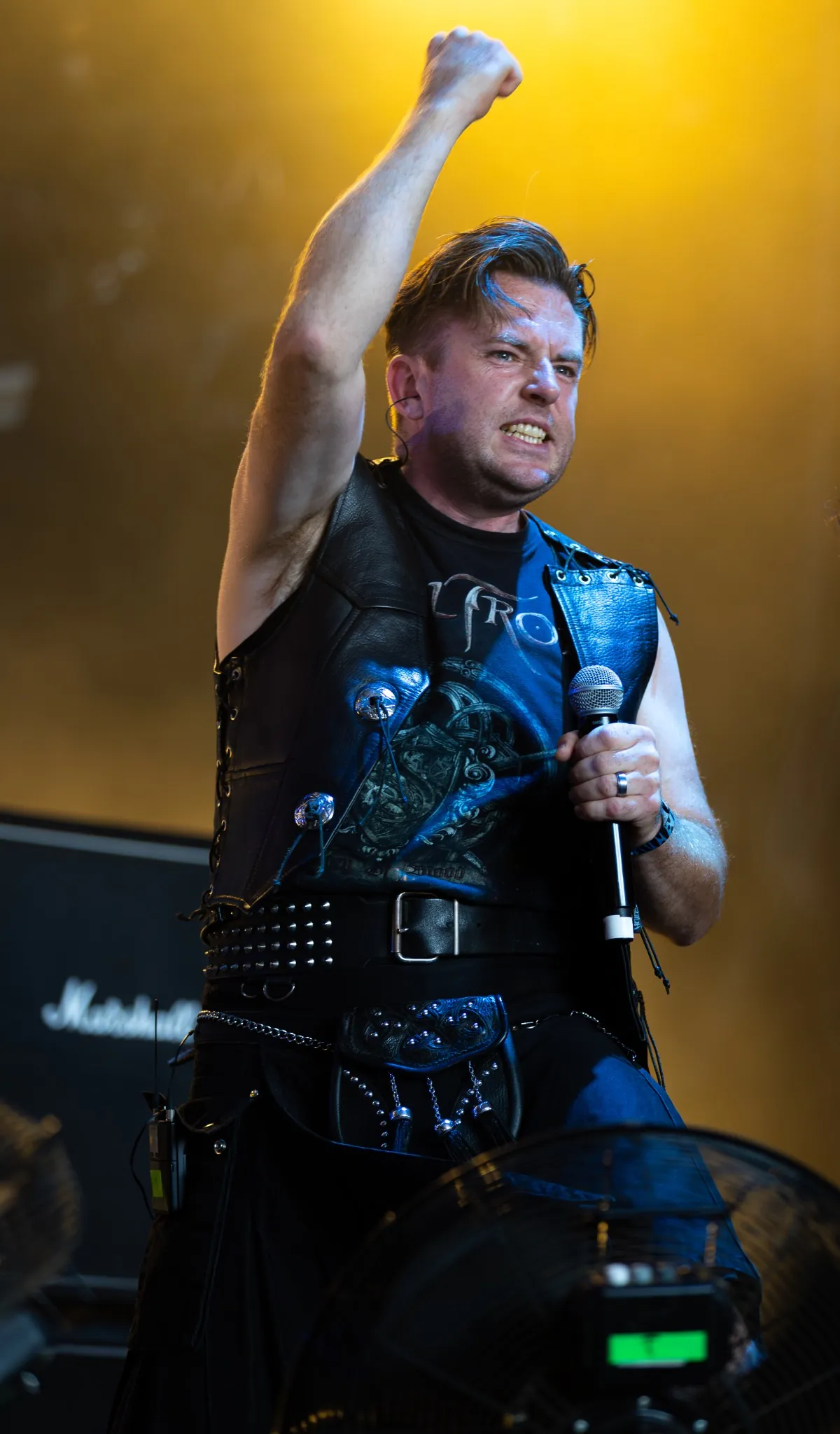Skiltron-chanteur