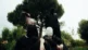 Sunborn Infinity Pool groupe alt-metal français Solid State Records