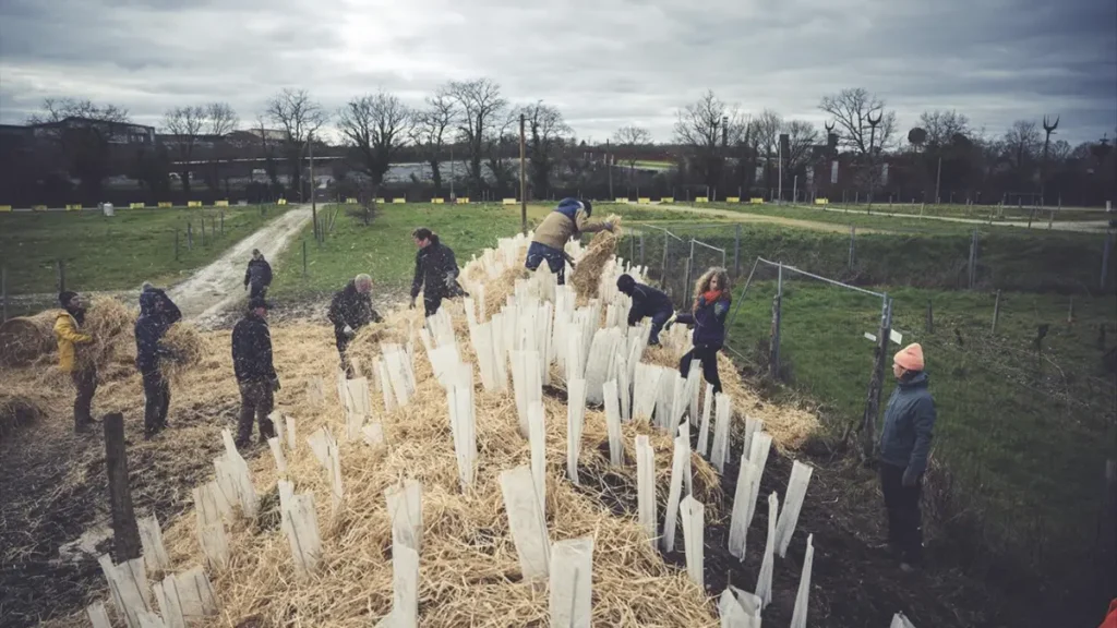 Plantation de 1 500 arbres sur le site du Hellfest avec Savage Lands Plantation de 1 500 arbres sur le site du Hellfest avec Savage Lands