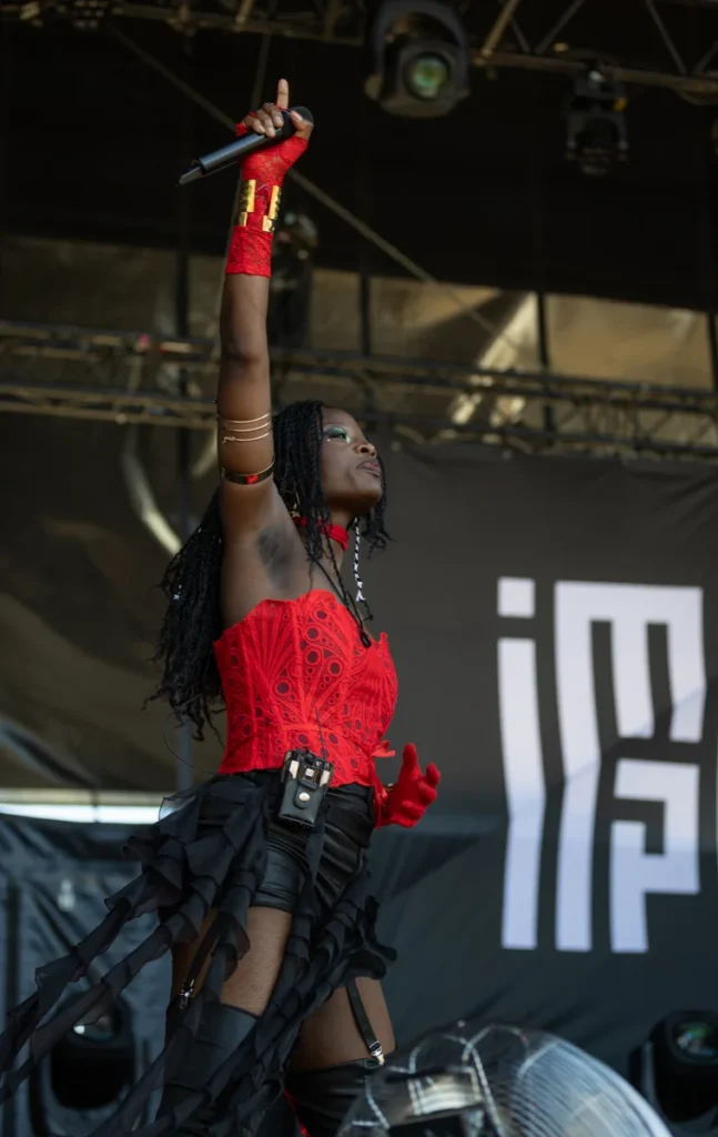 Imparfait Plane'R Fest. photo 1