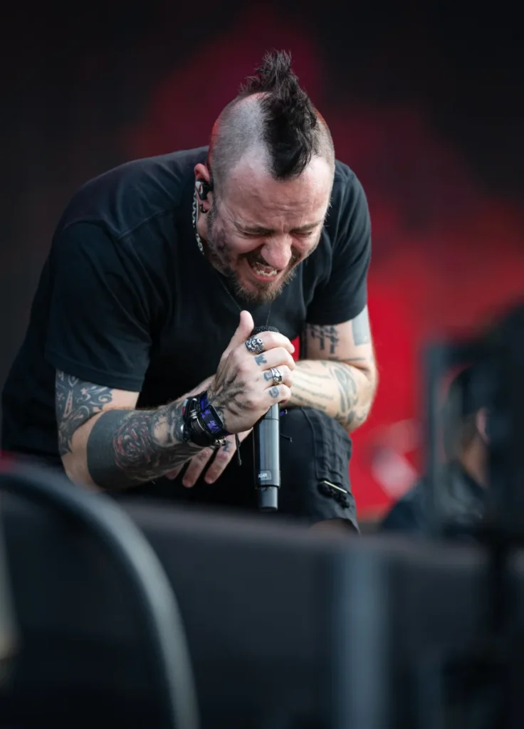Three Days Grace _ Jour 4 Hellfest _ photo 1 _ MRR